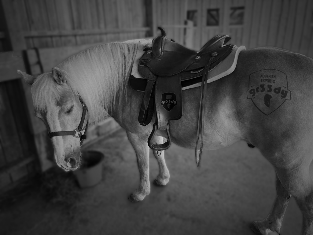 gr33dy.Gnocci, the wild stallion